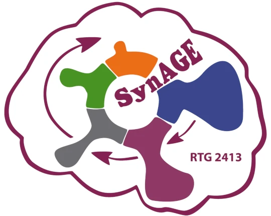 Beitragsbild_Synage