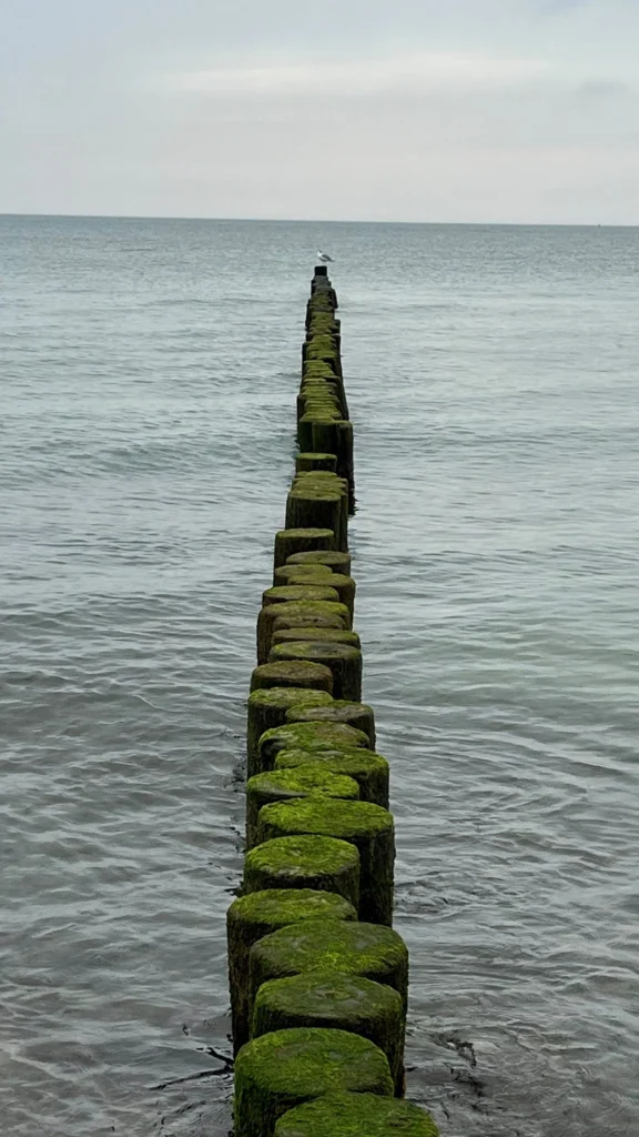 Writing Retreat 2025 in Warnemünde