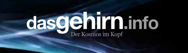 Gehirninfo